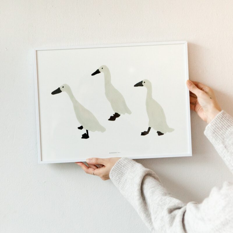 ArtPrint -  Indian Runner Duck